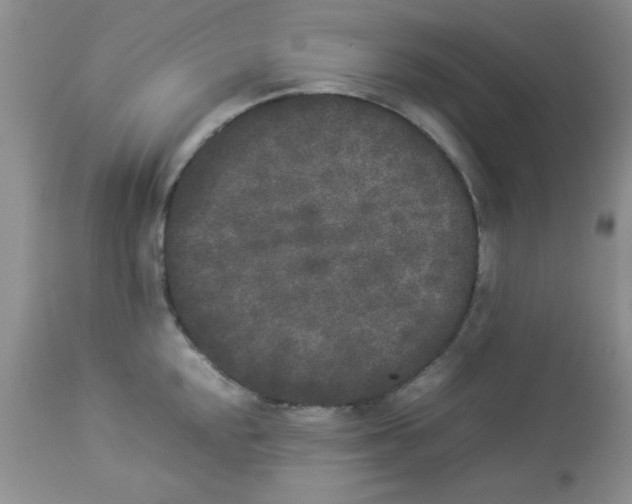 X0000112851048200909181731