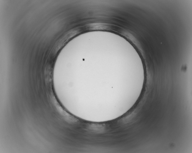 X0000112851049200909181731