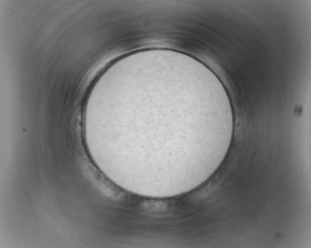 X0000112851051200909181731