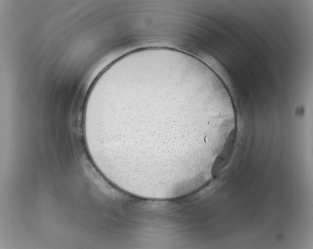 X0000112851052200909181731