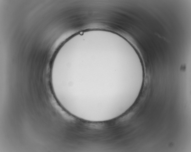 X0000112851053200909181731