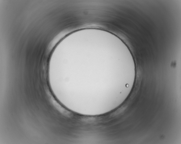 X0000112851054200909181731