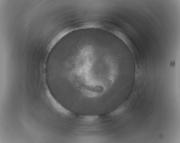 X0000112851055200909181731