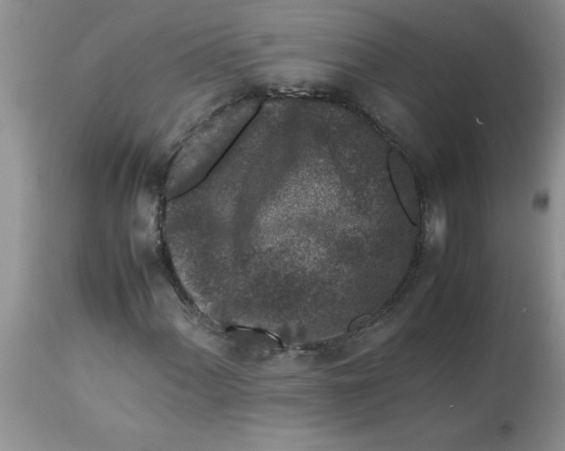 X0000112851060200909181730