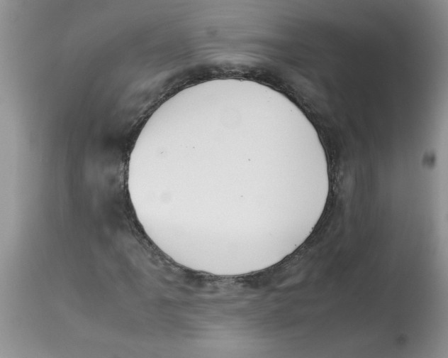 X0000112851061200909181730