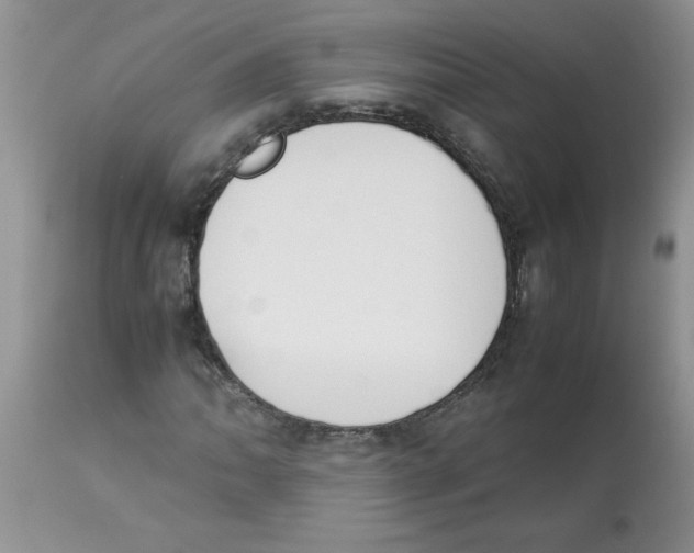 X0000112851062200909181730