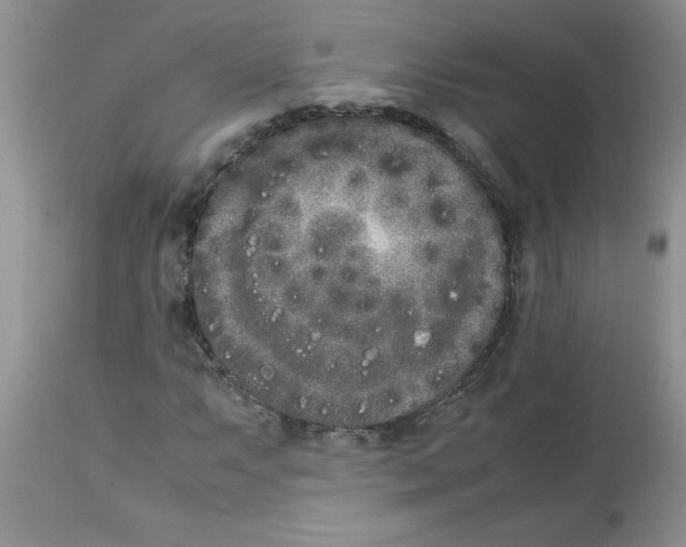 X0000112851063200909181730