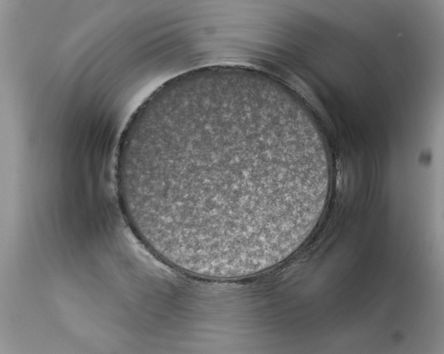 X0000112851068200909181730