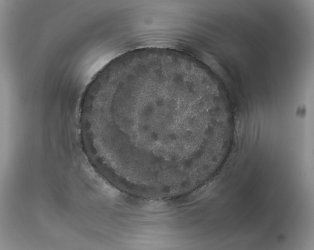 X0000112851071200909181730