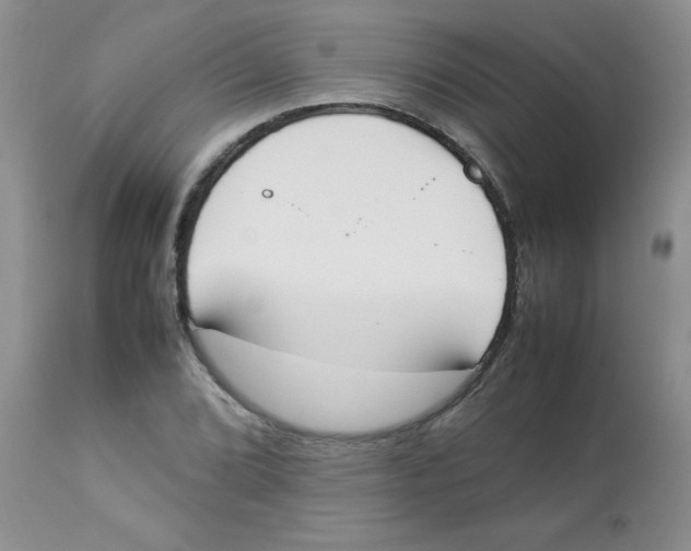 X0000112851072200909181730