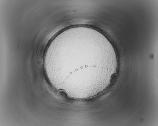 X0000112851073200909181730