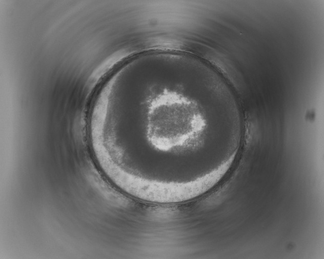 X0000112851074200909181730