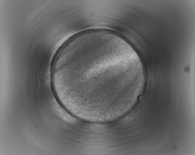 X0000112851076200909181730