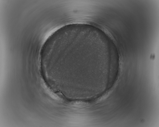 X0000112851077200909181730