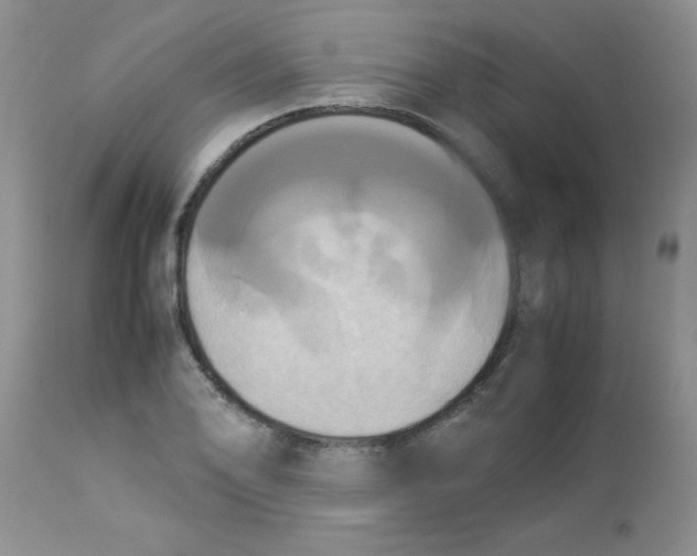 X0000112851078200909181730