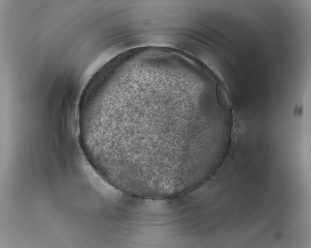 X0000112851080200909181730