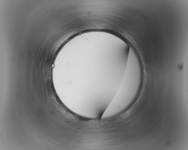 X0000112851081200909181730