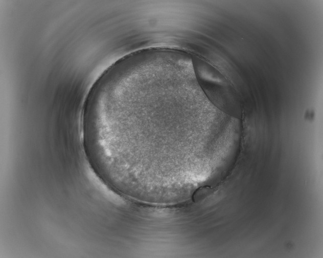 X0000112851084200909181730