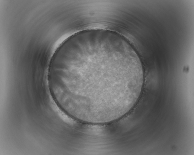 X0000112851086200909181730