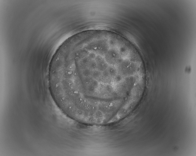 X0000112851087200909181730