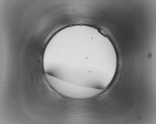 X0000112851089200909181730