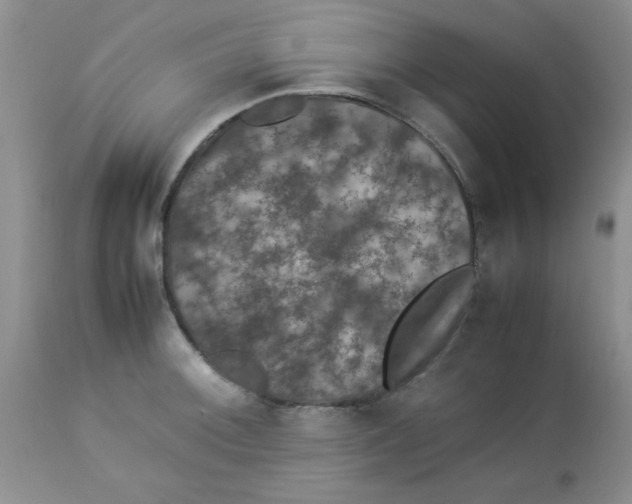 X0000112851092200909181730