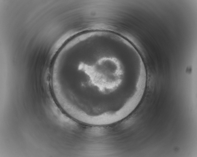 X0000112851094200909181730