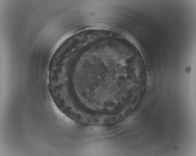 X0000112851095200909181730