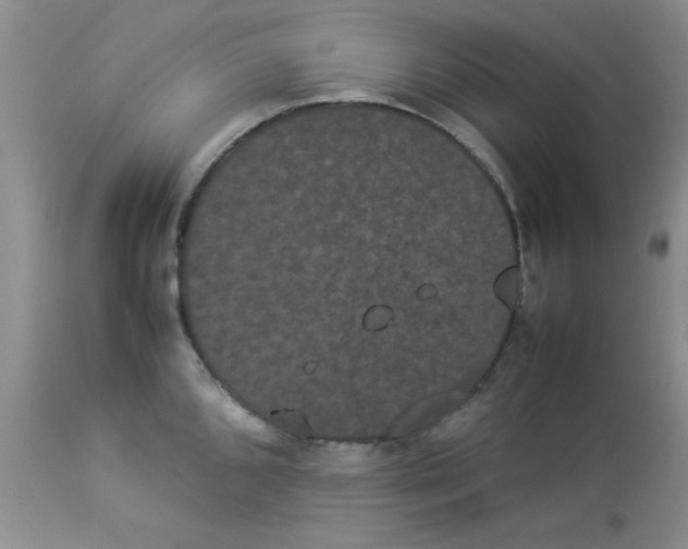 X0000112851096200909181730