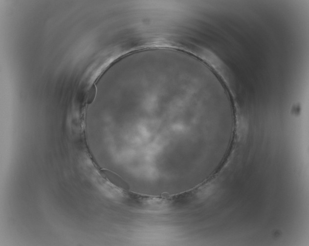 X0000112851097200909181730