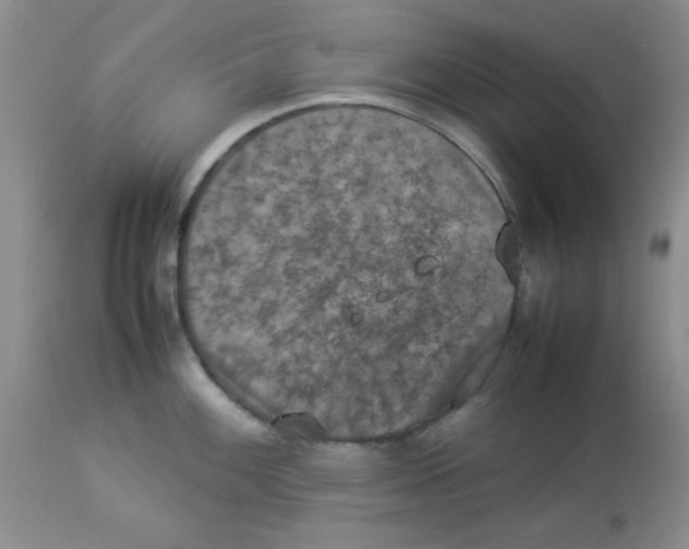 X0000112851100200909181730