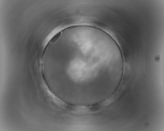 X0000112851101200909181730