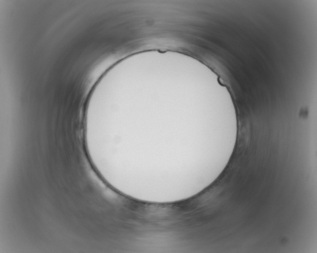 X0000112851103200909181730