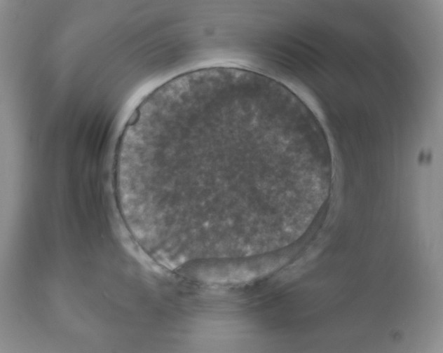 X0000112851104200909181730