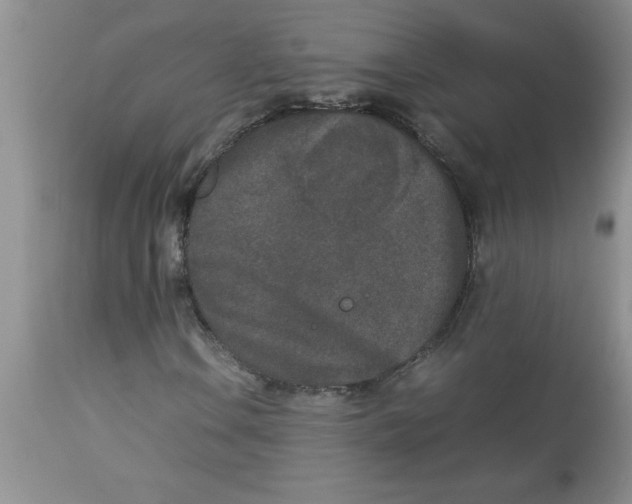 X0000112851106200909181729