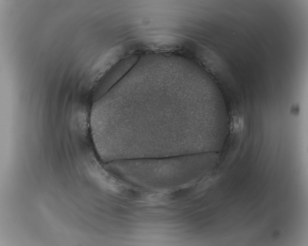 X0000112851108200909181729