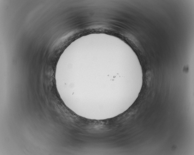 X0000112851111200909181729