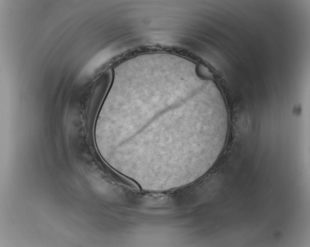 X0000112851112200909181729