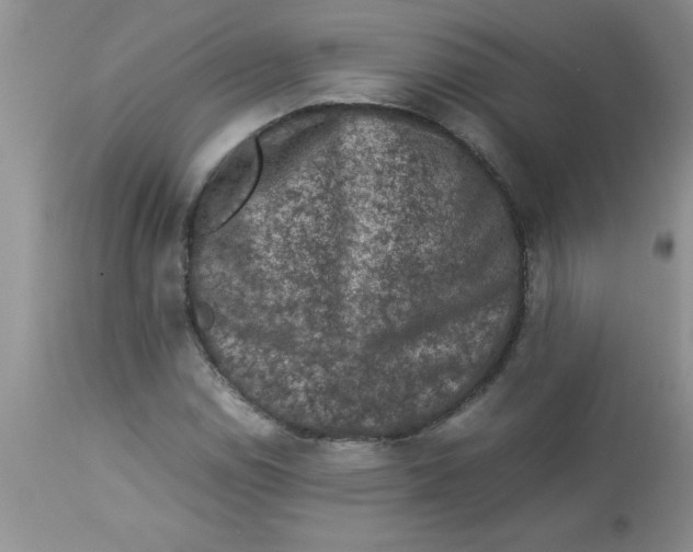 X0000112851114200909181729