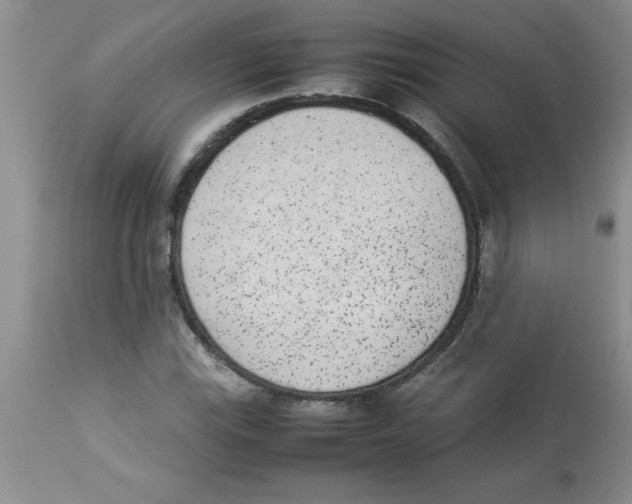 X0000112851115200909181729