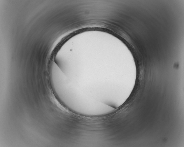 X0000112851116200909181729