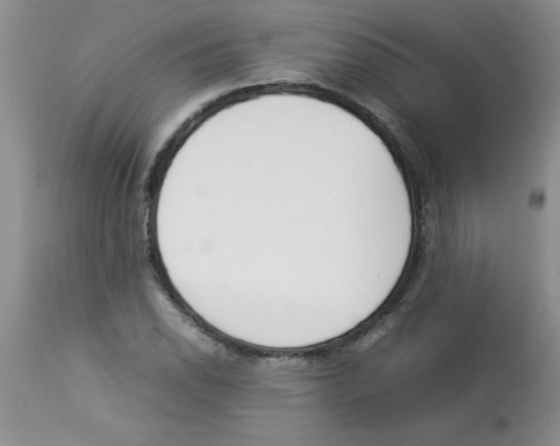 X0000112851118200909181729