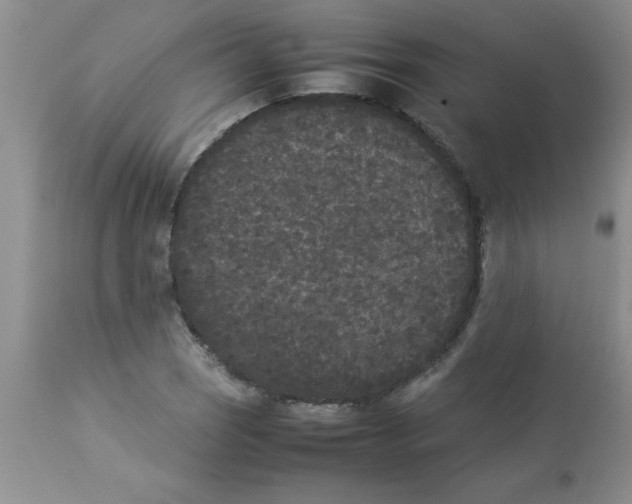 X0000112851121200909181729