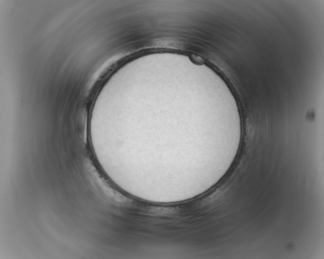 X0000112851123200909181729