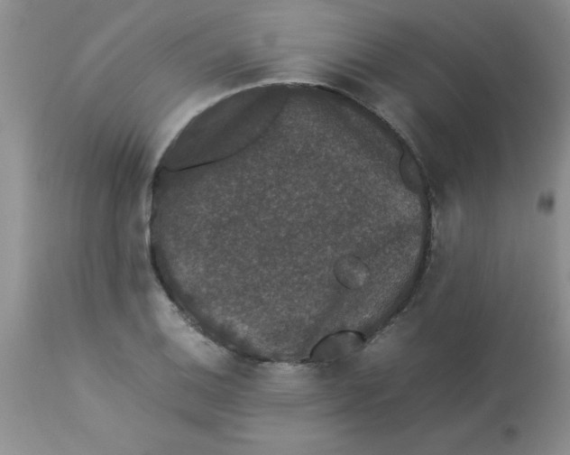 X0000112851124200909181729