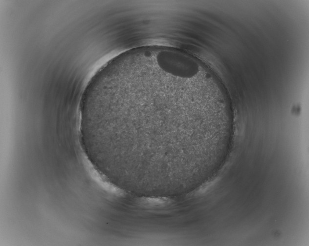 X0000112851125200909181729