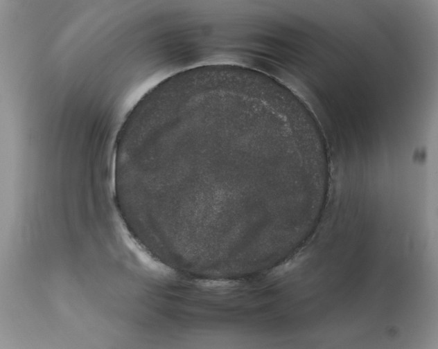 X0000112851127200909181729