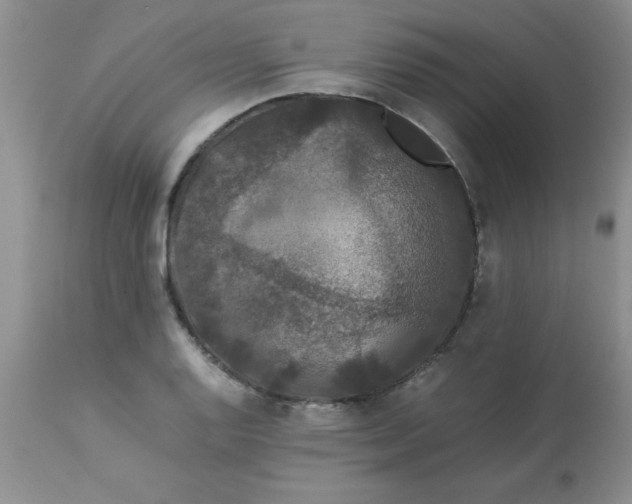 X0000112851128200909181729