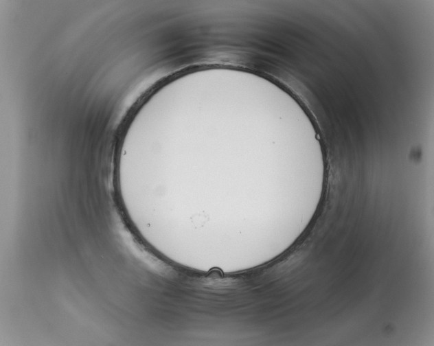 X0000112851131200909181729