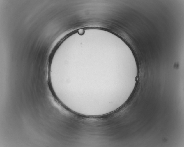 X0000112851132200909181729